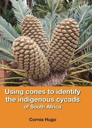 USING CONES TO IDENTIFY THE INDIGENOUS CYCADS OF SOUTH By Cornia Hugo BRAND NEW - Image 1 of 1