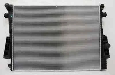 Conjunto de radiador TYC 13022 para Ford F250/F350/F350/F450 6,4 L V8 modelo 2008-2010 Foto 1 de 3