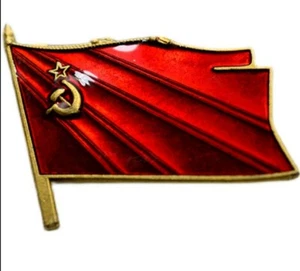 Soviet Union combat flag brass badge Lenin Red Star sickle axe Medal - Picture 1 of 6