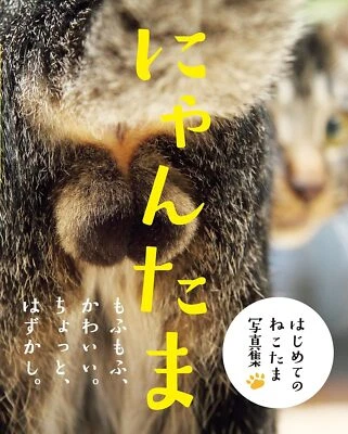 New Picture Book NYAN-TAMA Cat Testicles Male Cats Furry Balls Japanese - Image 1 of 4