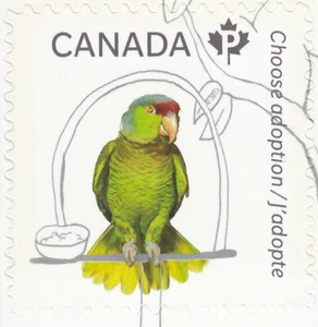 PARROT = stamp cut from booklet = ADOPT A PET = Canada 2013 #2638 MNH - Picture 1 of 1