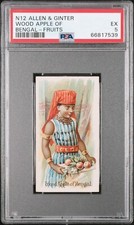 1891 N12 Allen & Ginter Fruits WOOD APPLE OF BENGAL PSA 5 EX