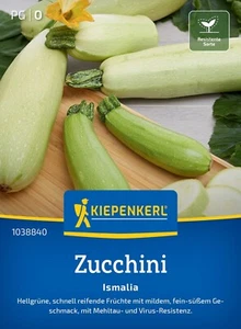Kiepenkerl Zucchini" Ismalia" hellgrün frühreif anbausicher Samen - Bild 1 von 2