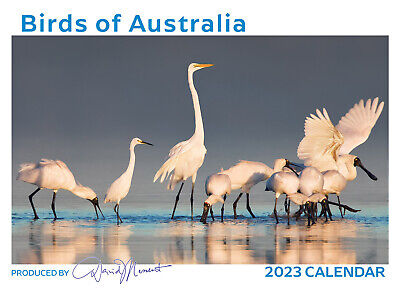 2023 Calendar Birds Of Australia Wall By David Messent Photography • 15.99$
