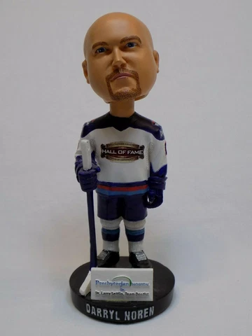 Darryl Noren 17 Charlotte Checkers ECHL Hockey Bobble Head Hall of Fame Jersey Cover
