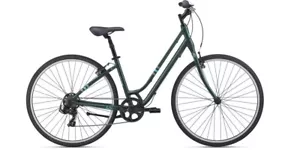Giant Liv Flourish Women's Hybrid Bicycle Small 7 Speed Trekking Green, a-x - Picture 1 of 1