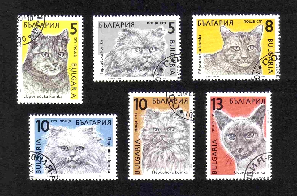 Bulgaria 1989 Cats complete set of 6 values (SG 3658-3663) used - Image 1 of 1