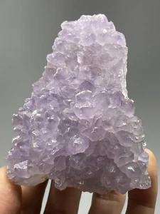 Specialty Flower Amethyst Quartz Druzy Cluster Healing Uruguay 6.9oz S15 - Picture 1 of 12