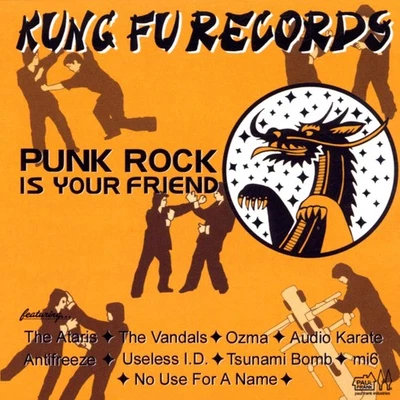 Various Punk Rock Is Your Friend (CD) - Bild 1 von 2