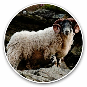 2 x Vinyl Stickers 10cm - Blackface Sheep Cheeky Lamb Cool Gift #12676 - Photo 1/9