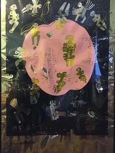 Quido Brink Pink Apple - Bild 1 von 6