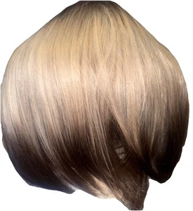 Neu mit Etikett Allbell LC2067-1 braun blond Bang’s Deal braune Spitzenenden sehen sehr weich aus - Bild 1 von 8