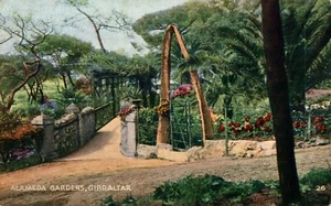 Gibraltar Alameda Gardens Vintage Postcard B73 - Picture 1 of 2