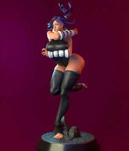 1/24 1/18 Yoruichi BLEACH NSFW Unpainted Assembled 3D Printing Model Garage Kits - Picture 1 of 4