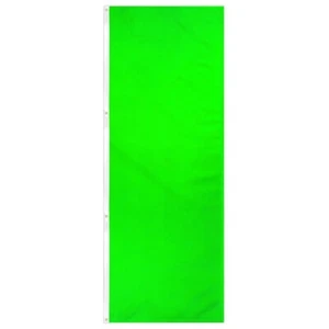 Neon Green 3x8ft 200D Dura Flag Solid Color Banner for Apartment Complex Display - Picture 1 of 3