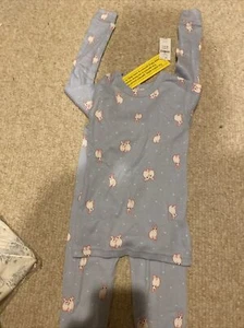 NWT Gap Kids 100% Cotton 2 Piece PJ Set Size 4 - Picture 1 of 4