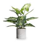1pc Faux Plant Indoor In Plant Pot 16