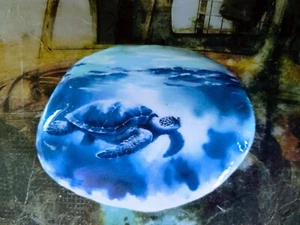 Roca de tortuga marina, roca pintada, tortuga, regalo del océano, roca de tortuga marina pintada a mano - Imagen 1 de 4
