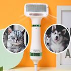 Pet bathing Hair Dryer Pet Grooming Hair Dryer Home Dog Cat Hair Dryer