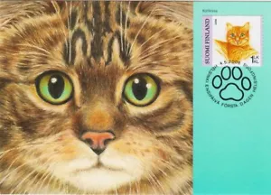Domestic Cat Home Kitten Finland Mint FDC Maxi Card 2006 - Picture 1 of 1