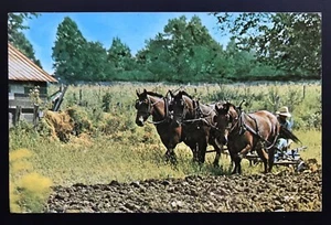 Tarjeta postal fotográfica vintage de hombre Amish de Richard C. Miller sin publicar 132087 - Imagen 1 de 2