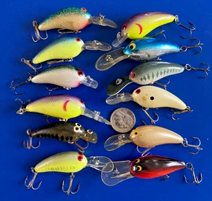 LOTE DE COLECCIÓN 12 SEÑUELOS DE PESCA CRANKBAITS NORMAN EE. UU. SONAJEROS PROFUNDOS MÁS PEQUEÑOS MIXTOS - Imagen 1 de 8