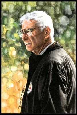 Dan Rooney 2000 Goal Line Arte Salón de la Fama #203 Steelers Foto 1 de 2