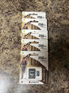 (5) Kingston Micro SD Card Canvas GO Plus Memory 256GB Class 10 TF V30 - Picture 1 of 1