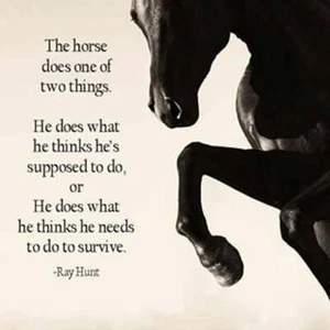 Ray Hunt Quote Horse  refrigerator magnet 3 1/2 X 4 3/4 " - Picture 1 of 1