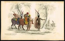 Caffrarian Family (S.Africa) travelling with their Cattle, HC Antique Print 1853