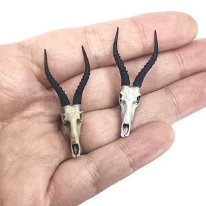 Blesbuck Schädel Replik - 1:12 Maßstab Miniatur Antilope Puppenhaus Diorama Dekor - Bild 1 von 7