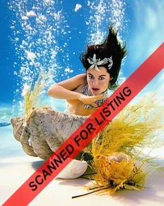 Mermaids of Tiburon DIANE WEBBER 8X10 PHOTO #9148 - Picture 1 of 1