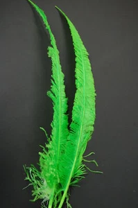 Ostrich NANDU Trimmed FEATHERS 18"-23" Quality PLUMES 11+ Colors To Choose From - Picture 1 of 16