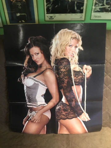HUGE VINTAGE WWE POSTERS TORRIE WILSON MACHO MAN TRISH LITA STONE COLD BRET HART Cover