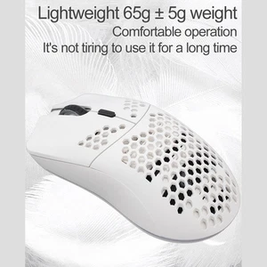 Lightweight RGB Gaming Mouse Ergonomic Design Rechargeable 2.4G Wireless Mou New - Picture 1 of 23