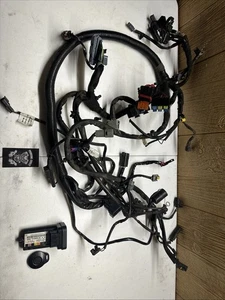 HARLEY DAVIDSON DYNA 2006  WIRING HARNESS/ TURN SIGNAL SECURITY MODULE AND FOB - Picture 1 of 6