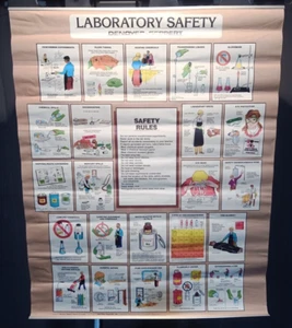 Denoyer Geppert Laboratory Safety Rules Chemistry Biology Poster Chart 32 x 44 - Picture 1 of 6