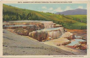 Postcard Mammoth Hot Springs Terraces Yellowstone Linen Unposted - Picture 1 of 2
