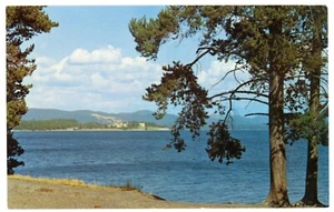 Chrome Postcard - Yellowstone National Park, Yellowstone Lake - Picture 1 of 2