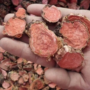500g Rhodiola Rosea Root 100% Natural Herbal Tea High Grade Wild Root Pieces - Picture 1 of 4