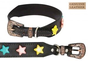 Showman Couture MEDIUM Genuine Leather Dog Collar w/ Large Star Beads!! NEW!!