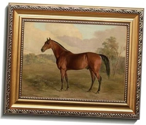  Vintage Gold Framed Wall Art, Farmhouse Decor Canvas Art 12L" x 9W" Horse - Picture 1 of 8