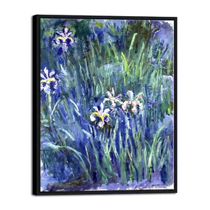 Black Framed Canvas Print Wall Art Irises by Claude Monet Oil Paintings Pictures - Picture 1 of 7