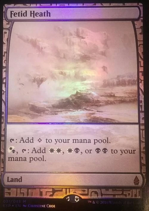 MTG English Fetid Heath NM Foil Zendikar Expeditions - Image 1 of 1