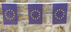 Bandera de la Unión Europea - 6m con 20 banderas - Imagen 1 de 4