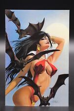 Vampirella Revelations (2005) #2 David Beck Virgin Variant Cover Mike Lilly NM-