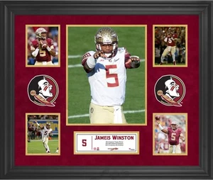 Jameis Winston Seminoles Framed 23" x 27" 5-Photo Collage-Fanatics - Picture 1 of 1