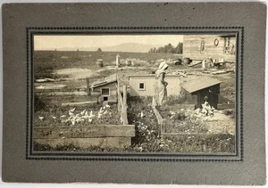 19th Century Photograph of Amish Woman and Chickens - Picture 1 of 1