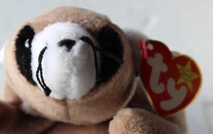 Ty Beanie Baby Ringo - MWMT (Raccoon 1995) Nuevo con etiquetas - Imagen 1 de 4