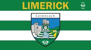 Ireland County LIMERICK 5 x 3 pies bandera a rayas nombre del condado en inglés e irlandés - Imagen 1 de 1